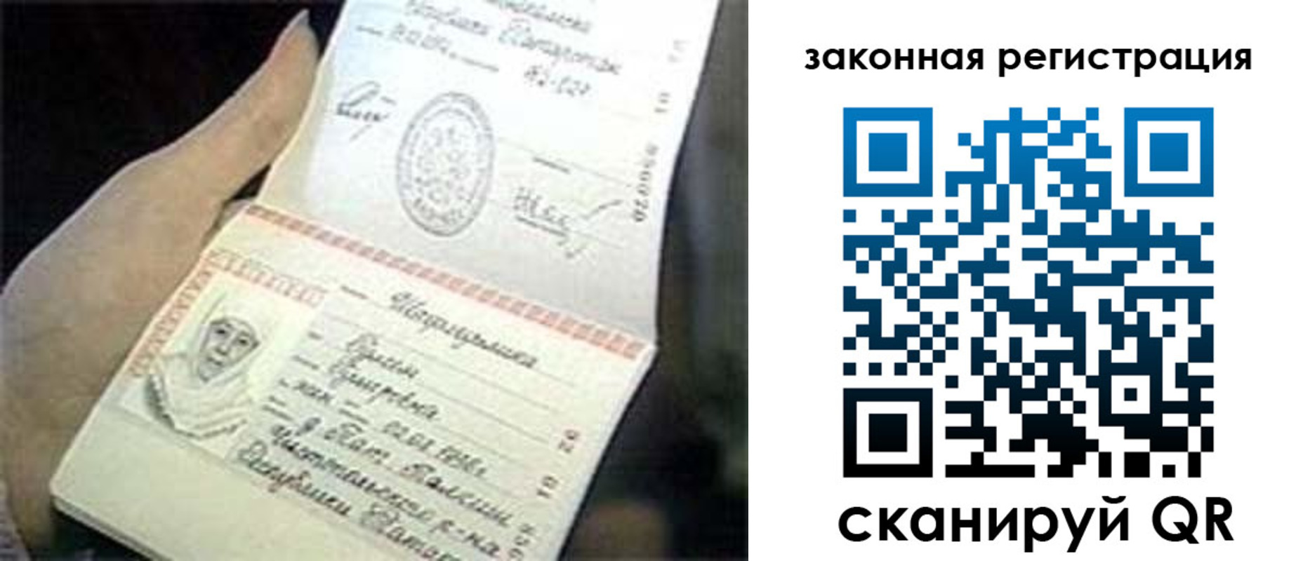 прописка для школы в Химках